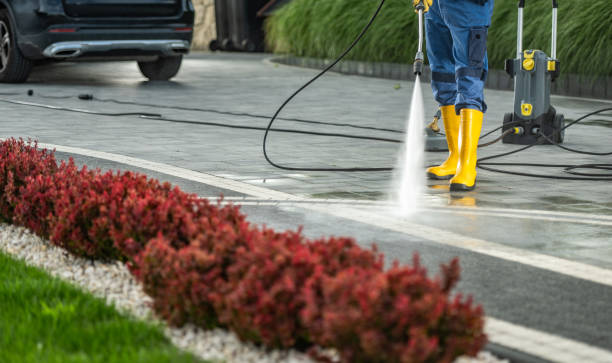 Best Pressure Washing Brick  in Mccamey, TX